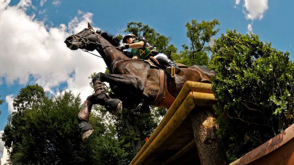 Longines PfingstTurnier Wiesbaden Wiesbadener Reit und Fahr